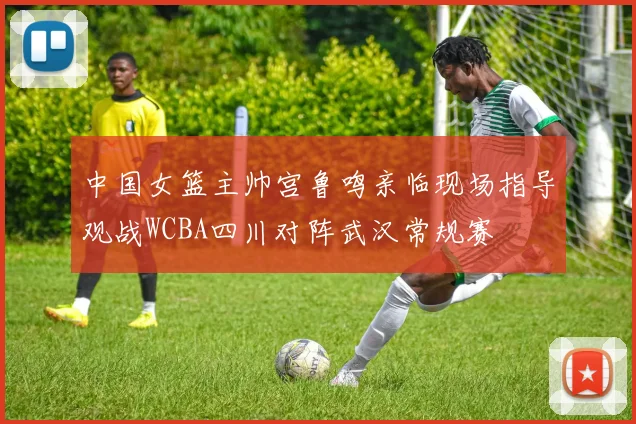 中国女篮主帅宫鲁鸣亲临现场指导观战WCBA四川对阵武汉常规赛